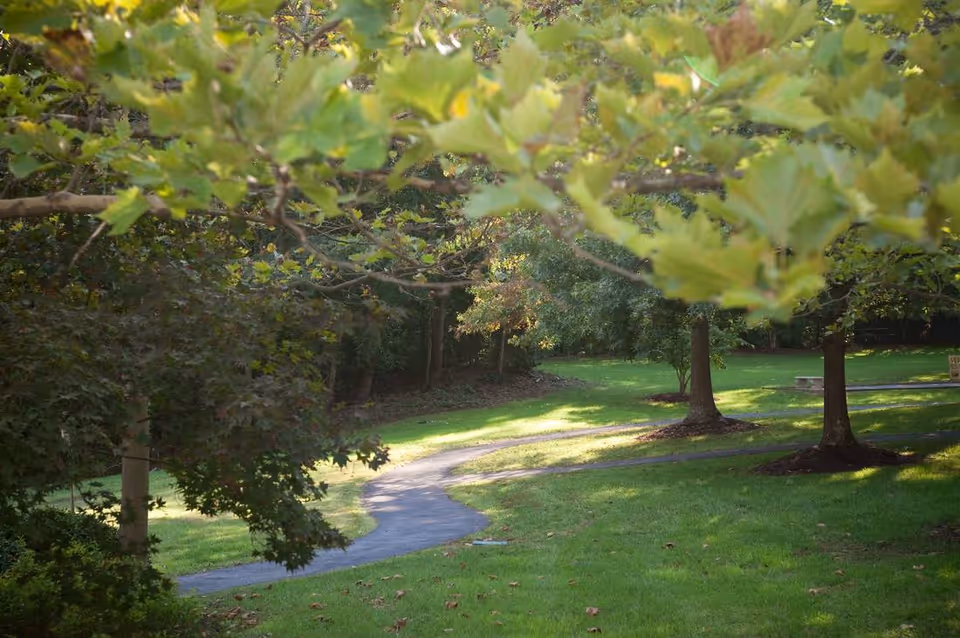 A winding paved pathway through a green grassy area with several trees providing shade and sunlight filtering through the leaves.