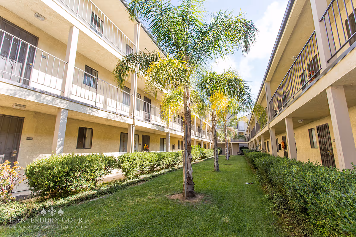 Outdoor courtyard area of Canterbury Court Senior Apartments featuring two-story beige buildings with balconies and doors facing a central grassy area lined with palm trees and bushes under a partly cloudy sky.