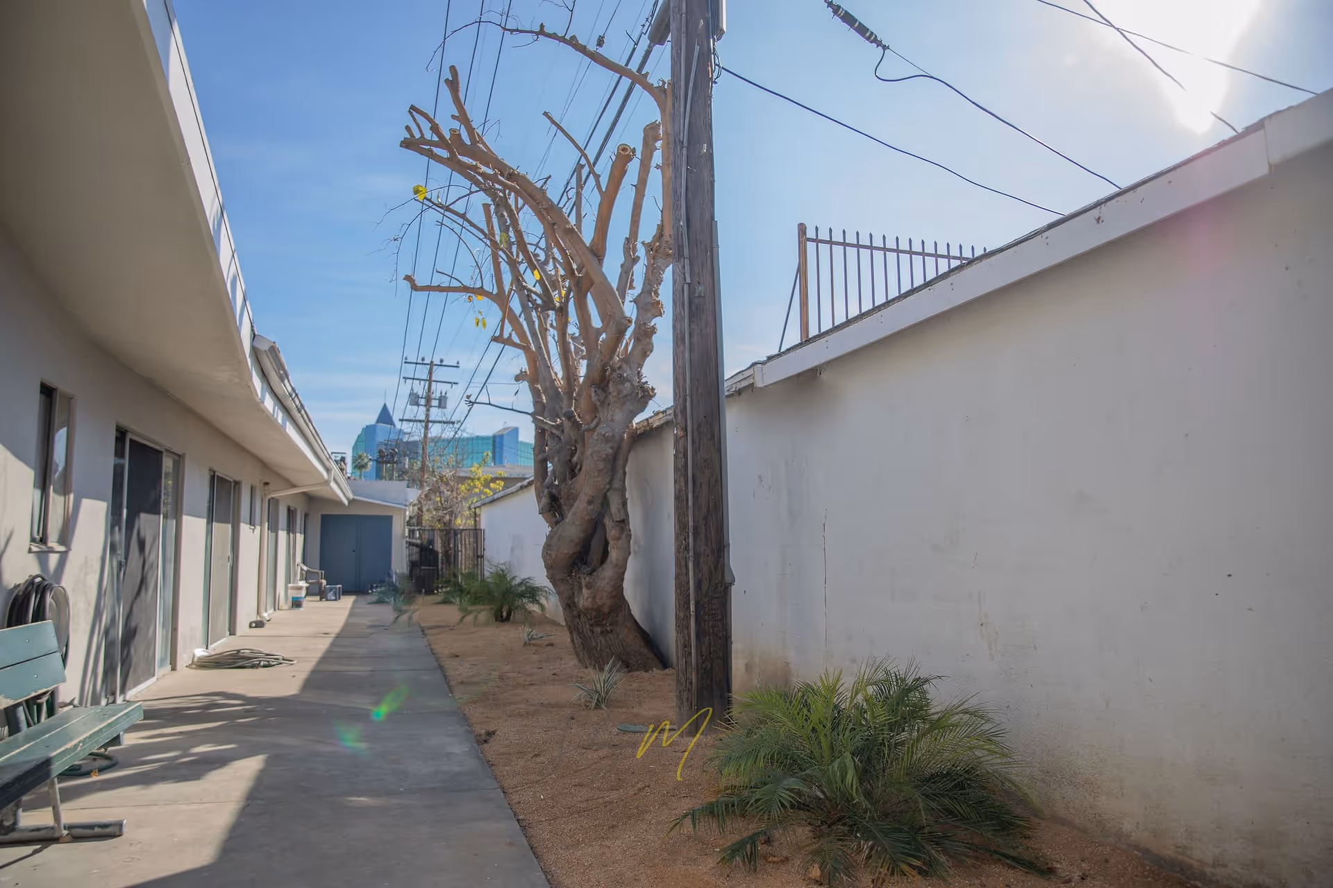 Outdoor walkway area at Highland Manor Assisted Living with a concrete path, a green bench, a leafless tree, some small plants, and a tall white wall on the right side under a clear blue sky.