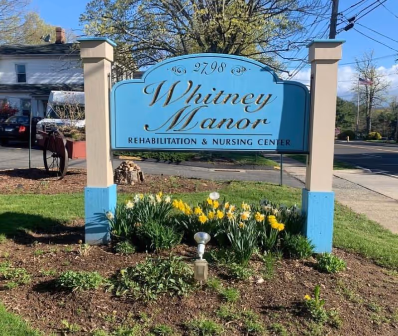 A blue and beige sign for Whitney Manor Rehabilitation & Nursing Center surrounded by a flower bed with yellow daffodils and green plants, with a street and trees in the background.