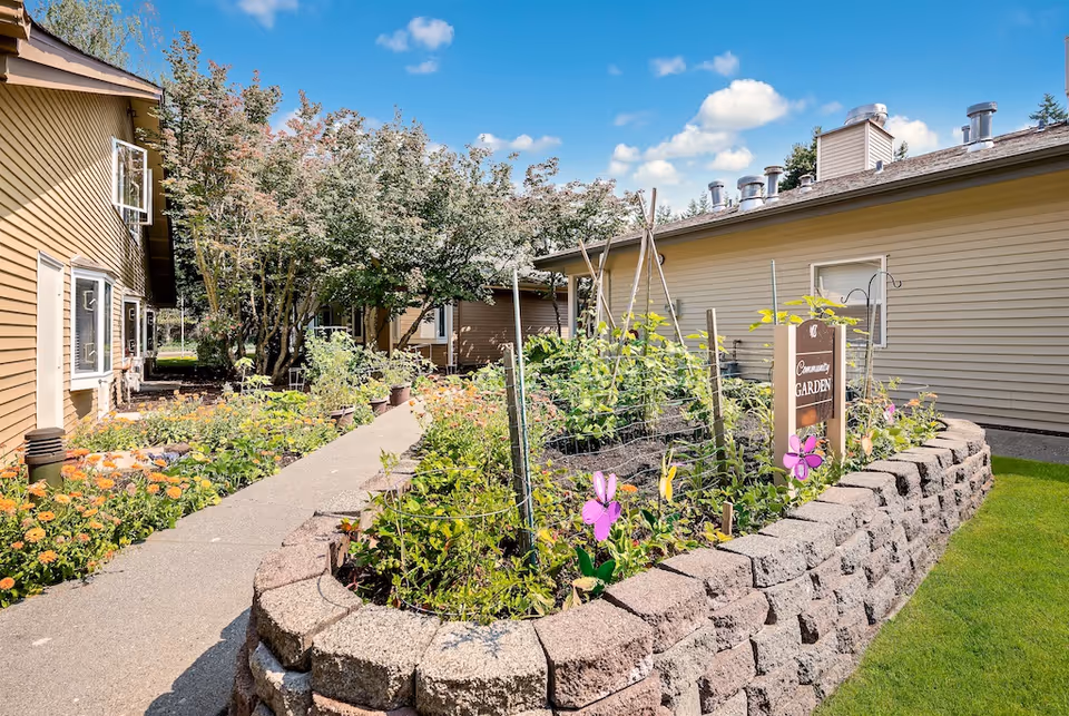 Outdoor community garden area with raised stone flower beds filled with plants and flowers, surrounded by a paved walkway. Two beige buildings with multiple windows are visible on either side, with trees and a clear blue sky in the background.