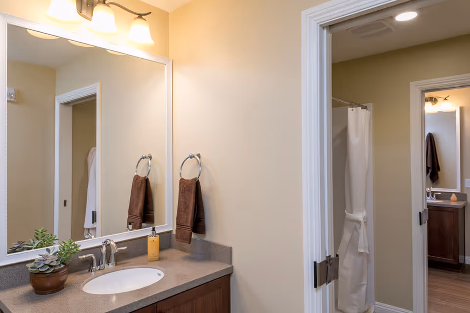 A bathroom vanity area with a large mirror, a sink with a silver faucet, a brown hand towel hanging on a ring, a soap dispenser, and a small potted plant. The reflection in the mirror shows a doorway leading to a shower area with a white shower curtain tied back.