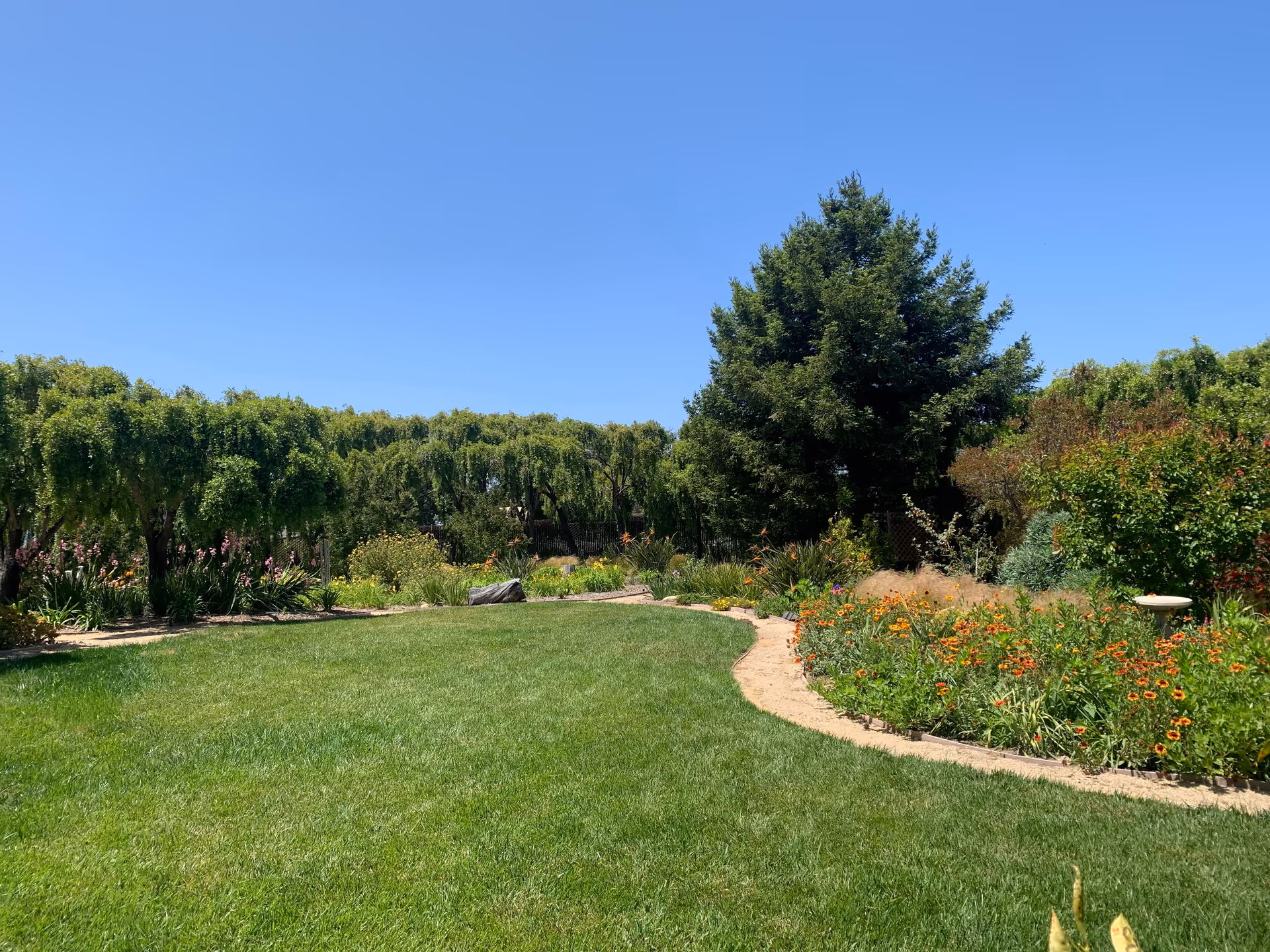 A well-maintained garden area with a lush green lawn, a curved dirt pathway, various flowering plants, and trees under a clear blue sky.