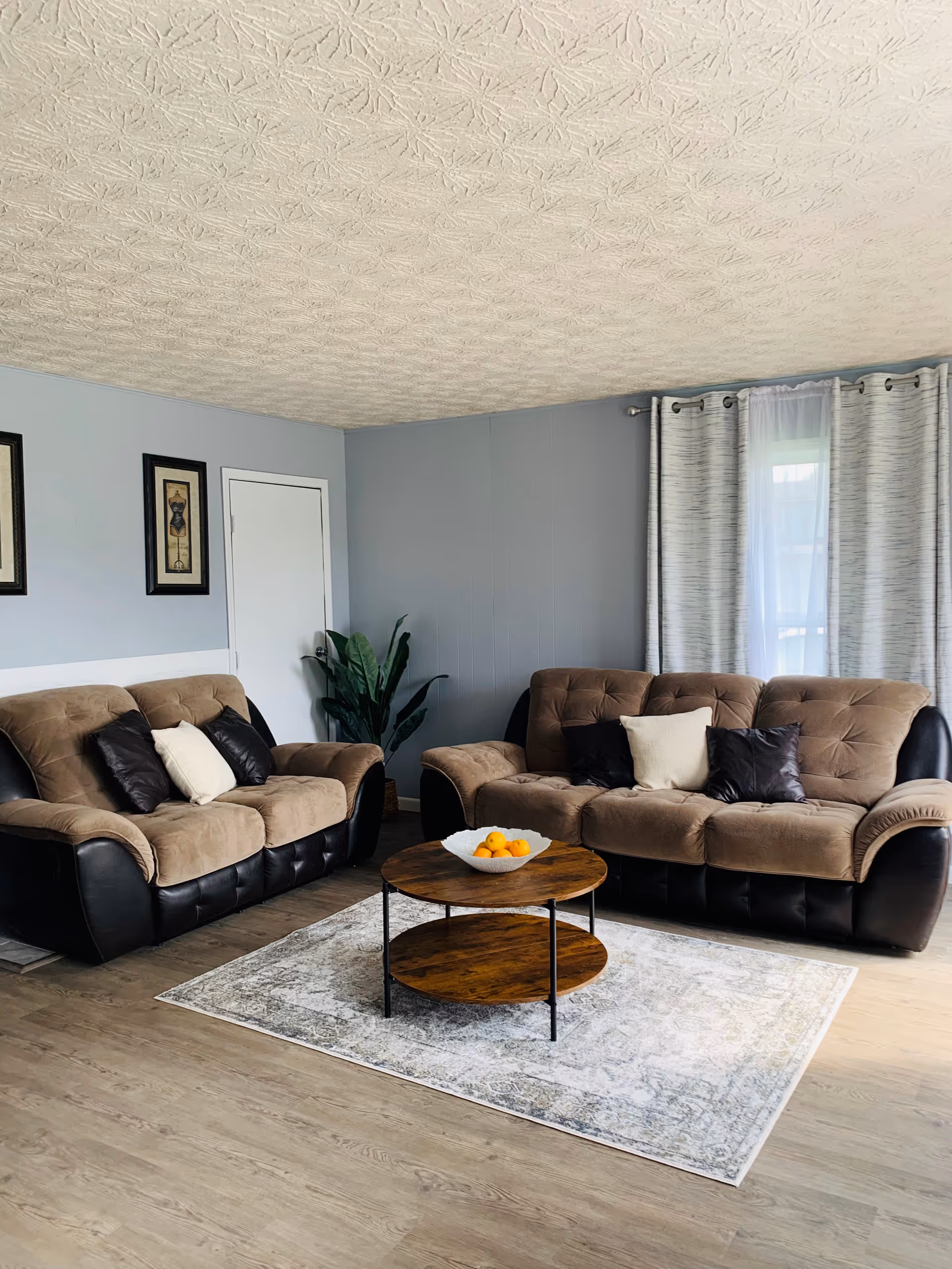 A cozy living room with two brown and black cushioned sofas facing each other, a round wooden coffee table with a bowl of oranges on a light patterned rug, light blue walls with two framed pictures, a green plant in the corner, and a window with white and gray curtains.