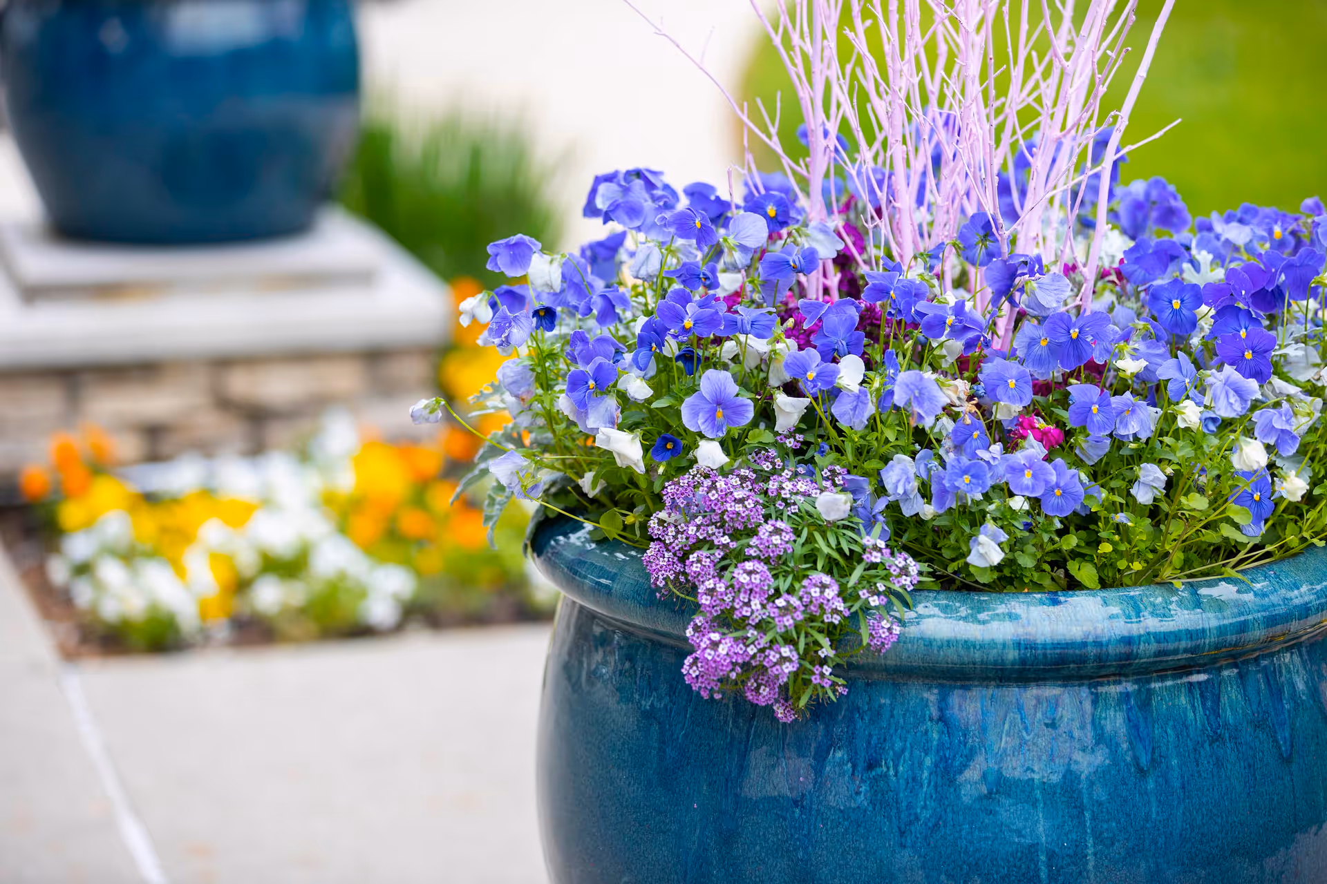 Close-up of a large blue ceramic planter filled with vibrant purple and white flowers, with a blurred background showing another similar planter and some greenery.