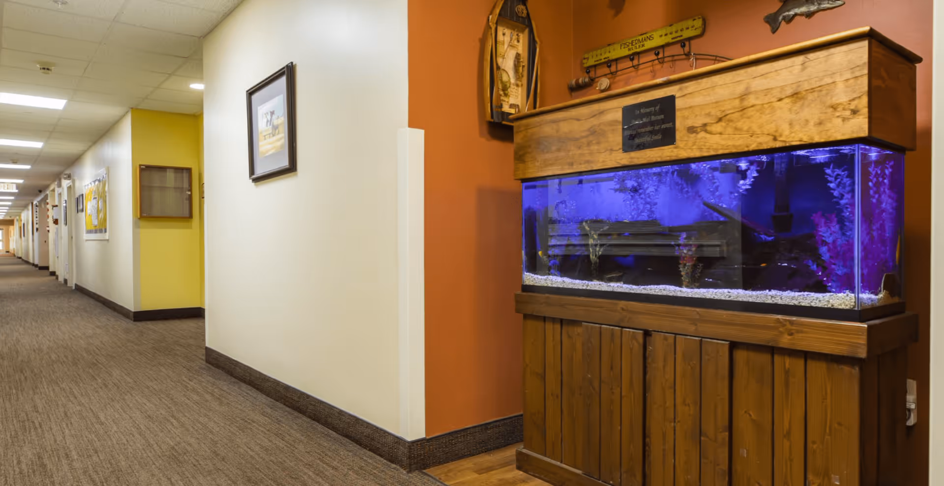 Carpeted interior hallway in a senior living facility featuring a large wooden aquarium with blue lighting and framed artwork on the walls.