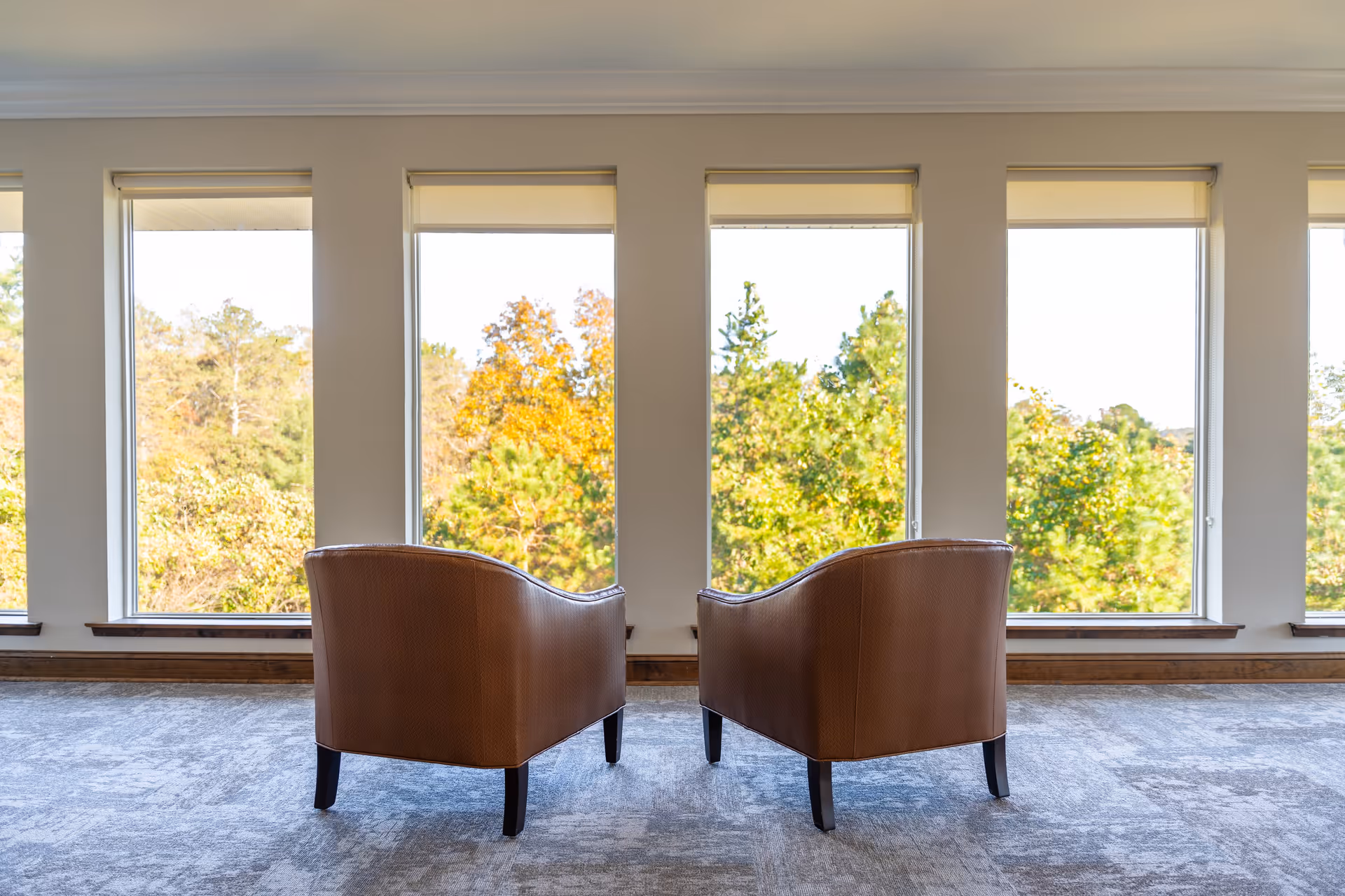 Two brown leather armchairs facing large vertical windows with a view of green and autumn-colored trees outside in a bright room with gray carpet.