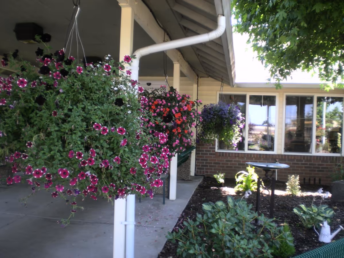 Covered outdoor patio area with hanging baskets of vibrant pink, purple, and red flowers. There is a garden bed with green plants and a birdbath near a building with large windows and brick siding. A tree provides shade over part of the scene.