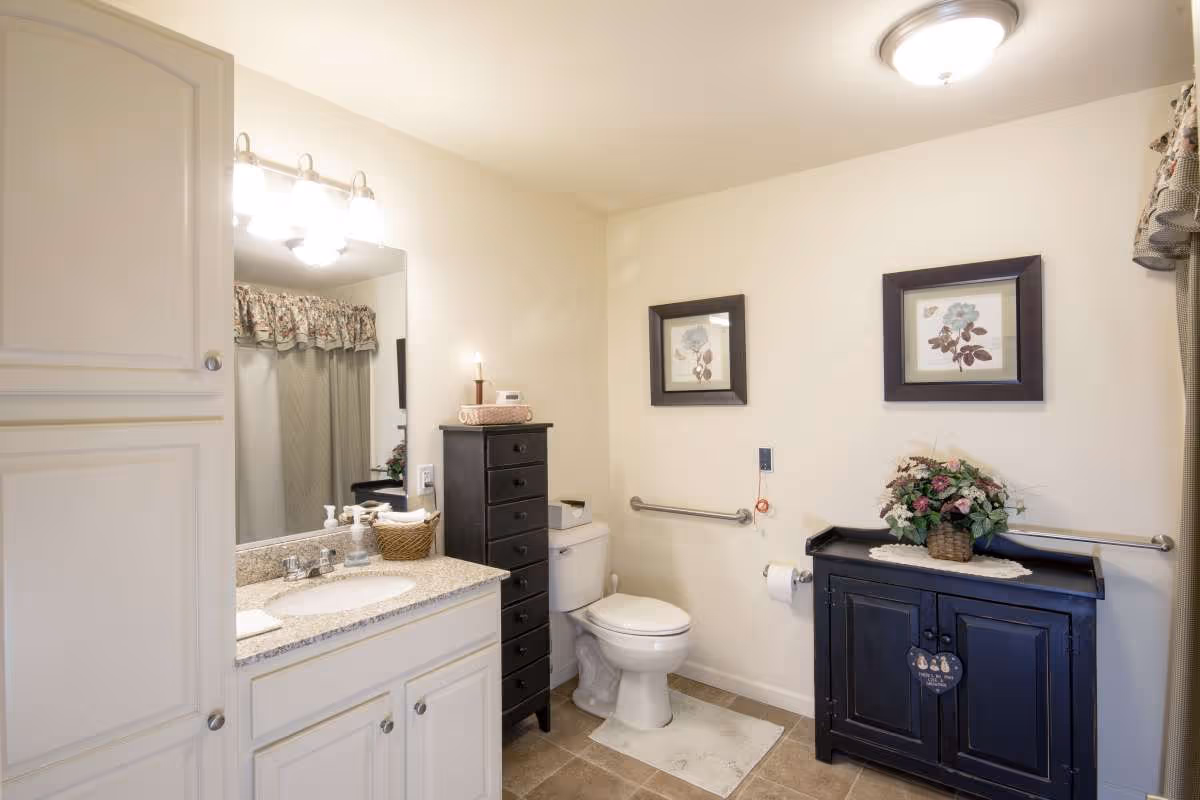 A clean and well-lit bathroom with a white vanity and granite countertop, a large mirror with three lights above it, a white toilet with a tall black storage cabinet beside it, and a dark blue cabinet with a floral arrangement on top. The walls are light-colored with two framed floral pictures, and there are grab bars installed near the toilet.
