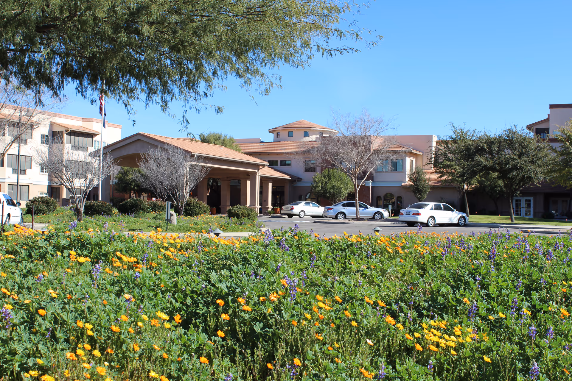 Exterior view of La Posada at Green Valley senior living facility with a garden of yellow and purple flowers in the foreground, several trees, parked cars, and a clear blue sky.