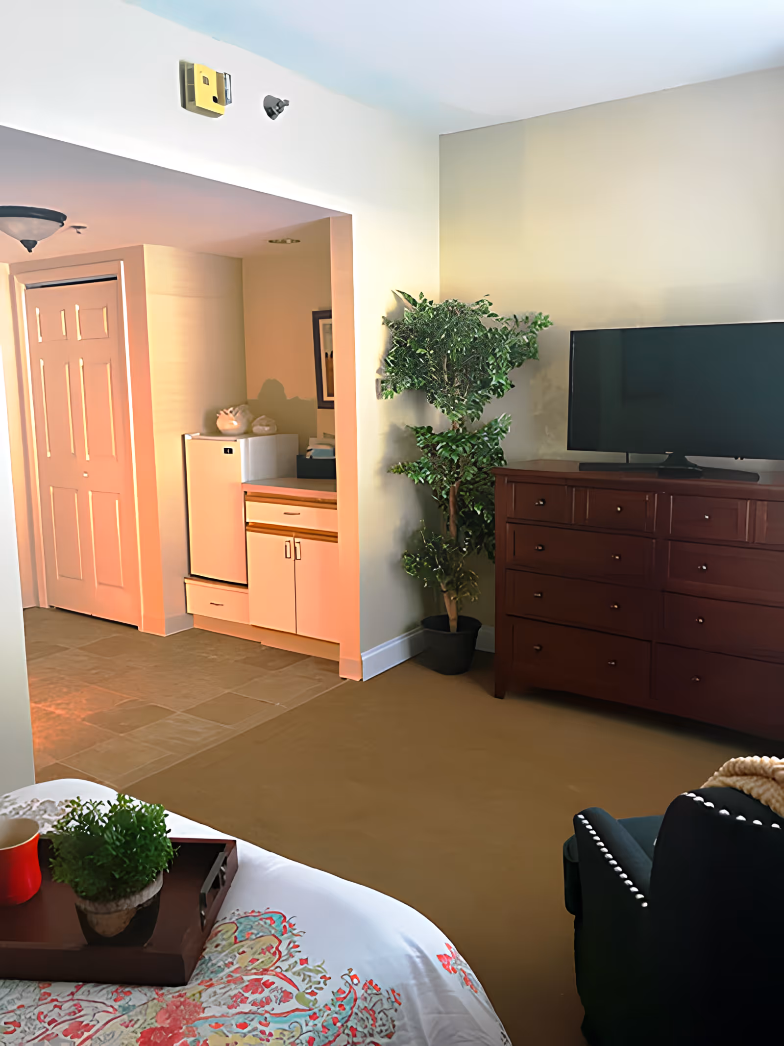 A suite interior showing a bed with a tray in the foreground, a TV on a dresser, a potted plant, and a small kitchenette alcove.