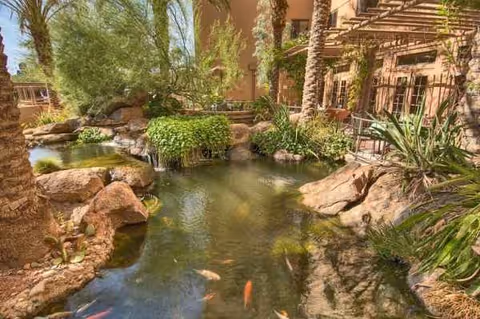 Sunlit courtyard pond with rocks, palms, and lush landscaping beside a beige building.