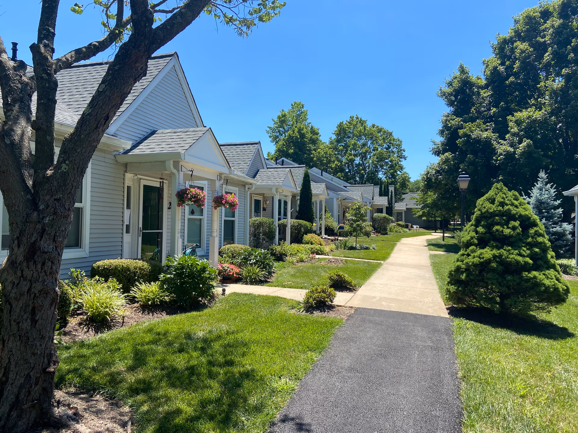 A sunny outdoor walkway lined with small, white residential buildings with pitched roofs and hanging flower baskets. The path is surrounded by well-maintained green lawns, bushes, and trees under a clear blue sky.