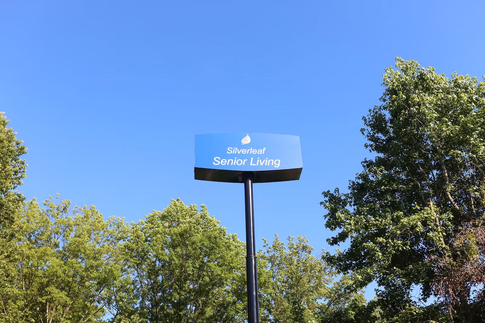 A tall signpost with a blue sign that reads 'Silverleaf Senior Living' against a clear blue sky, surrounded by green trees.