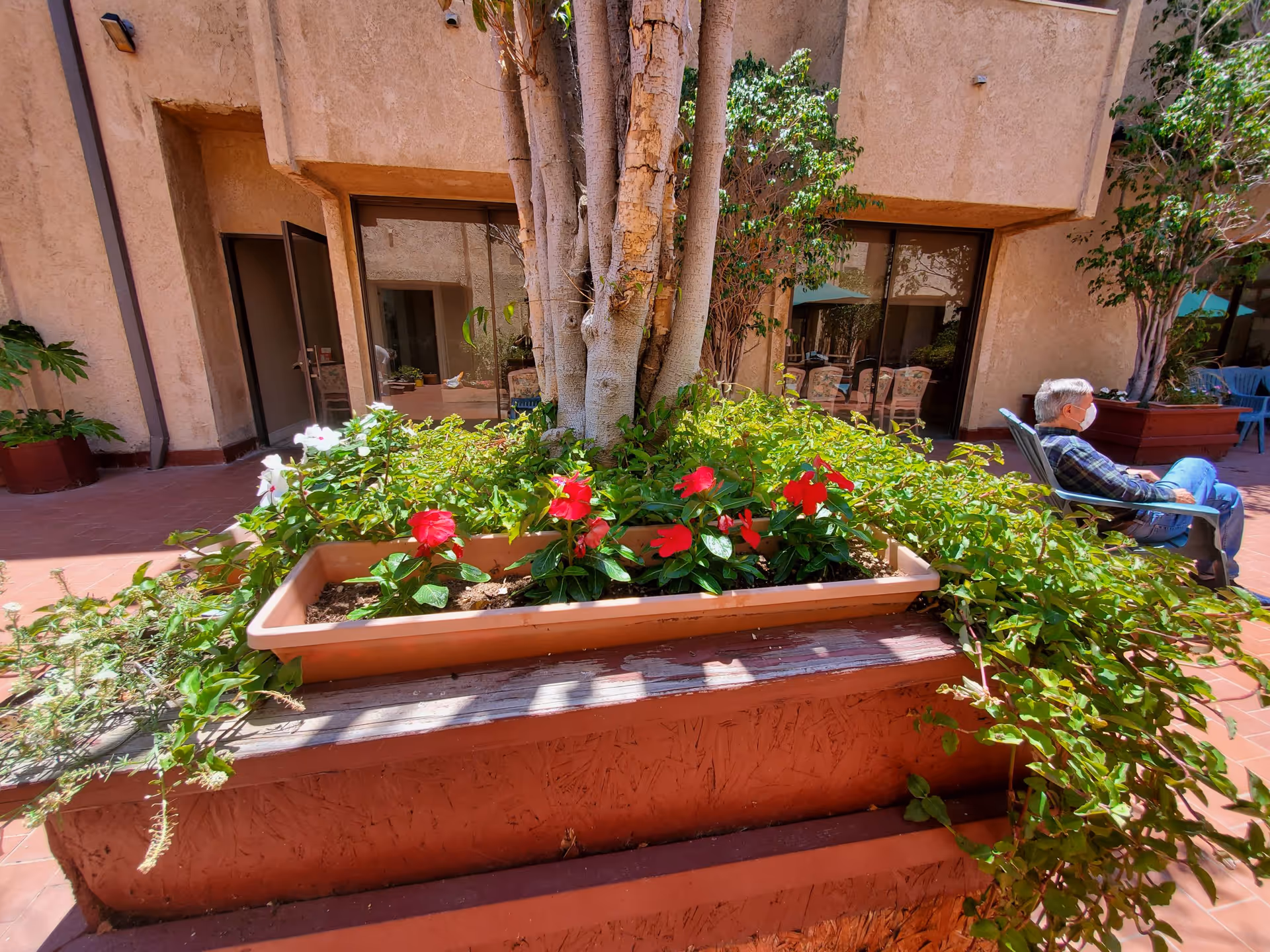 Outdoor courtyard area with a large planter containing a tree and flowering plants with red and white blooms. A man wearing a mask is sitting on a chair to the right, and there are large windows and doors of the building in the background.