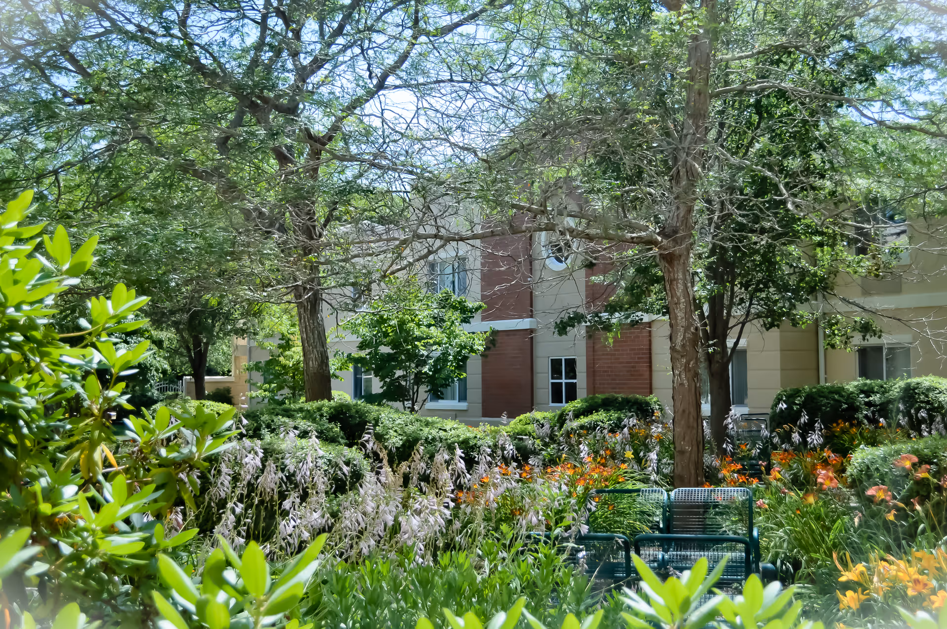 A lush garden area with various green plants, bushes, and orange flowers in front of a multi-story building with beige and brick exterior walls. Trees with some bare branches are also visible, and there are green metal benches partially visible among the plants.