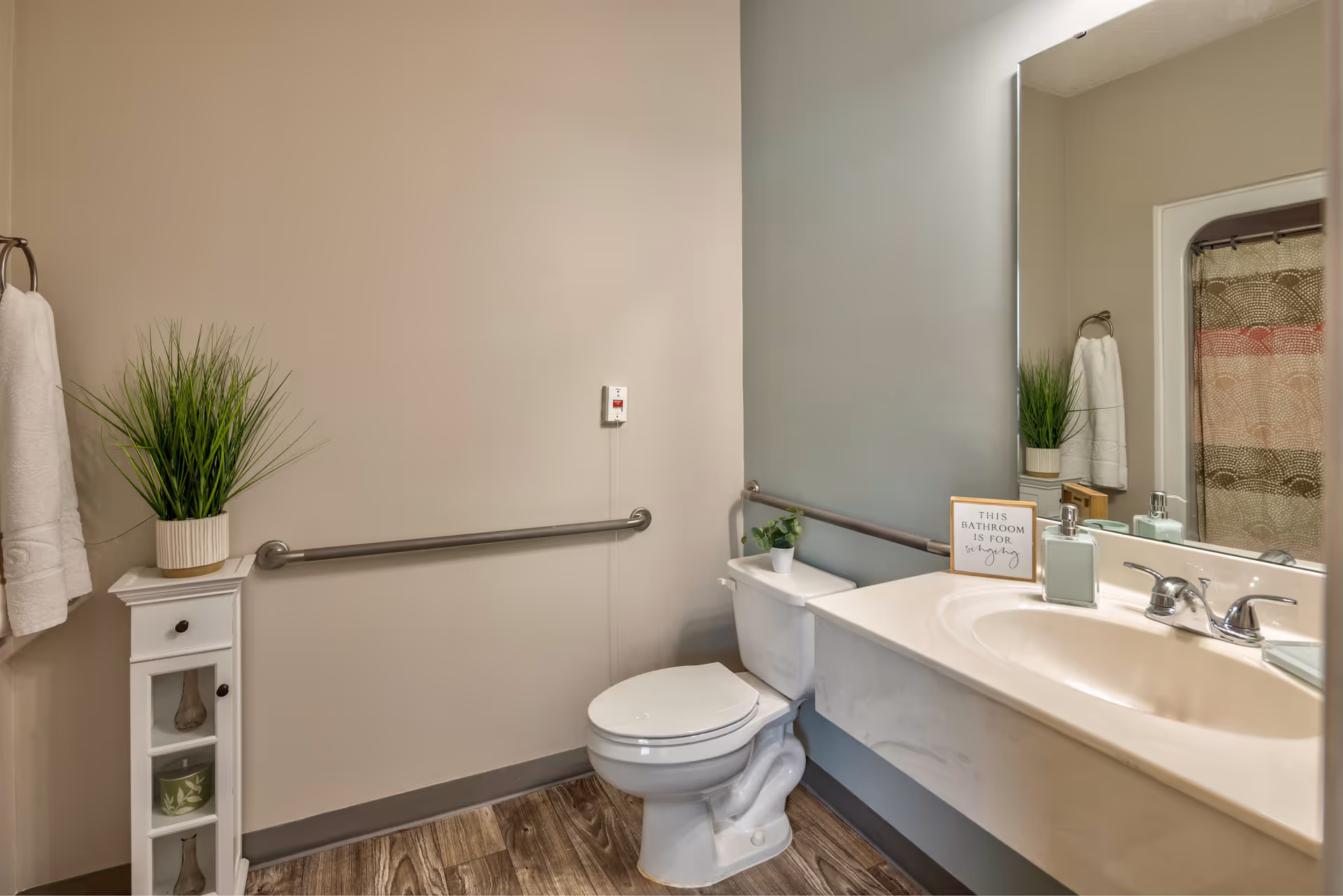Accessible bathroom with a toilet, sink and vanity, wall-mounted grab bars, mirror, potted plants and a towel.