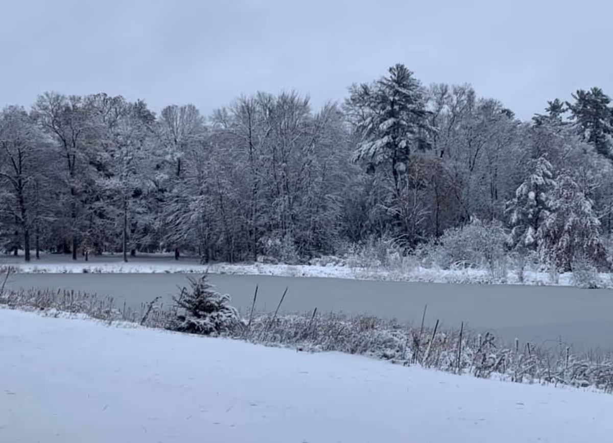 A snowy outdoor scene featuring a frozen pond surrounded by snow-covered trees and bushes under a cloudy sky.
