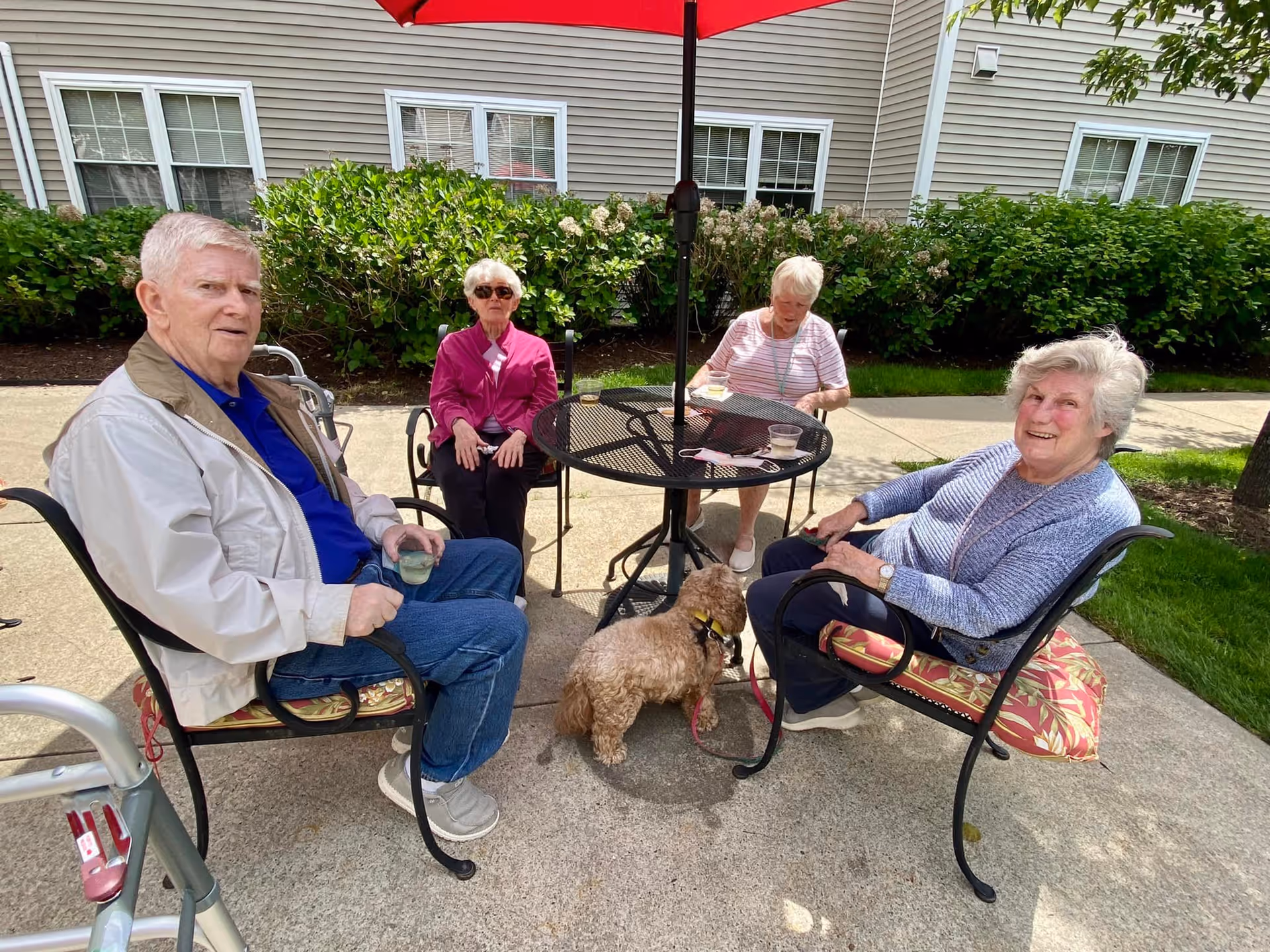 Four elderly people sitting around a round outdoor metal table with a red umbrella on a concrete patio. They are enjoying drinks and snacks, with a small brown dog standing near the table. Behind them is a building with beige siding and white-framed windows, along with green bushes and a sidewalk.