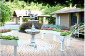 Outdoor courtyard area with a white multi-tiered fountain in the center, surrounded by white planter boxes filled with greenery. There are paved brick walkways, a bench, and buildings with windows and lattice panels in the background, all under green leafy trees.