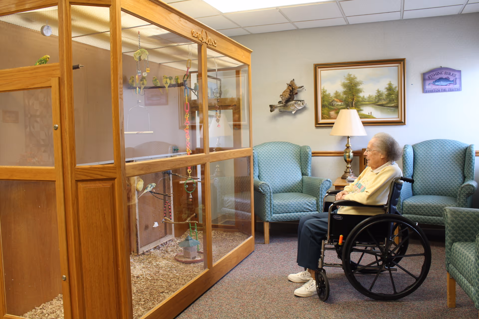 An elderly woman in a wheelchair is sitting in a room with green upholstered armchairs, looking at a large wooden and glass birdcage containing several small birds. The room has a table with a lamp, a painting of a landscape, and a wall decoration with a fish and a sign that reads 'Fishing Rules: Straight Line Bait'.