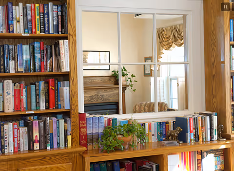A cozy interior scene featuring wooden bookshelves filled with books and a small green potted plant on a wooden surface. A window with multiple panes reflects part of the room, showing a fireplace, a framed picture, a plant, and a window with beige curtains.