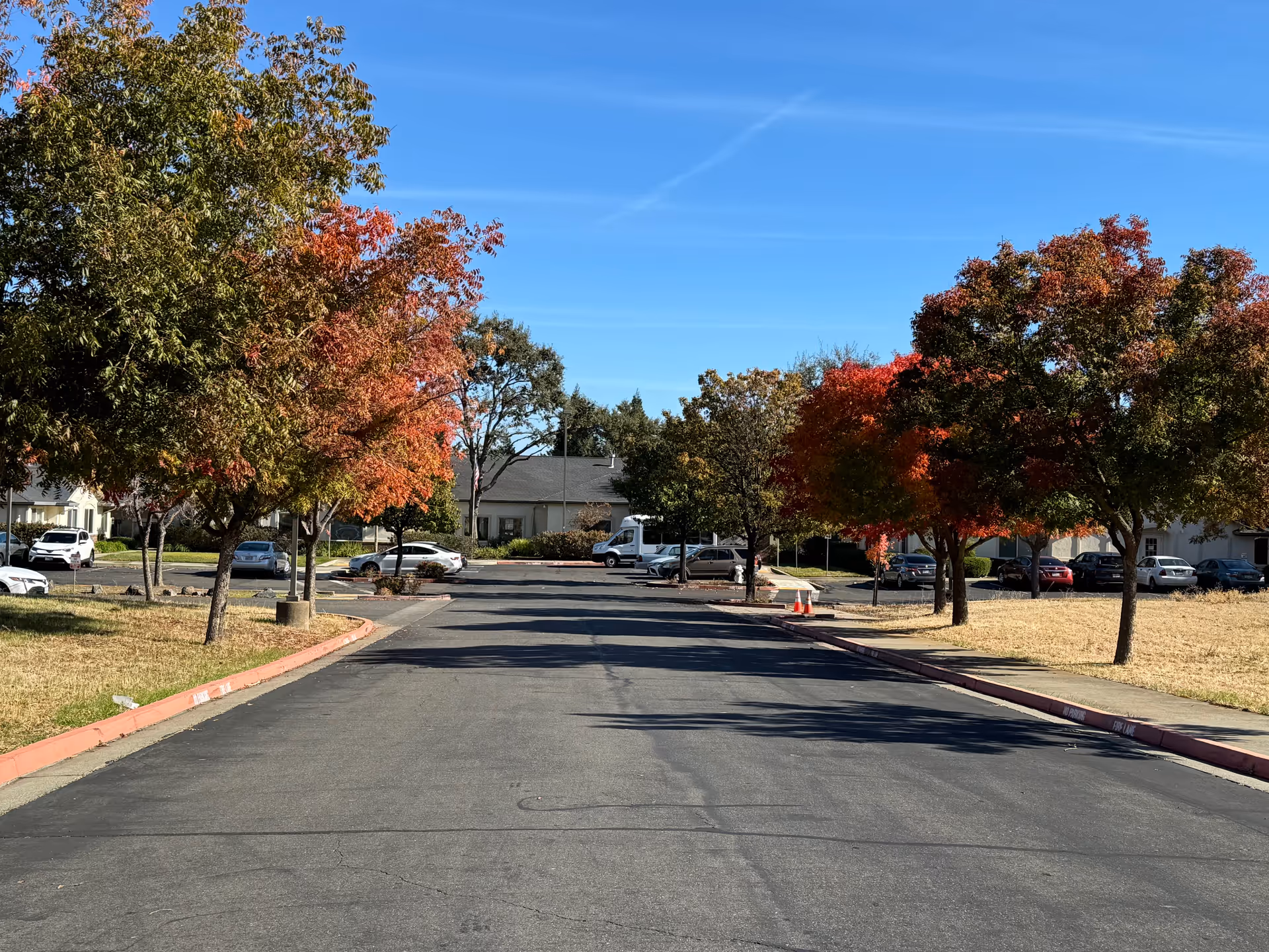 A paved road lined with trees showing autumn foliage in shades of green, orange, and red. There are parked cars along the sides of the road and buildings in the background under a clear blue sky.