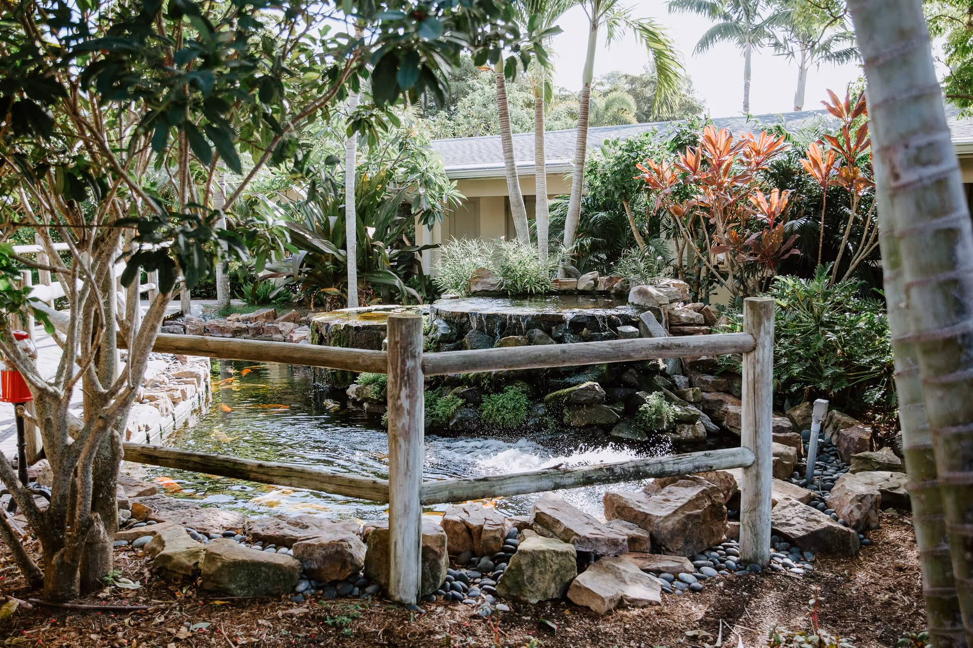 A serene outdoor garden area featuring a small pond with a waterfall surrounded by rocks, lush green plants, and trees. A rustic wooden fence encloses the pond, and a building is partially visible in the background.