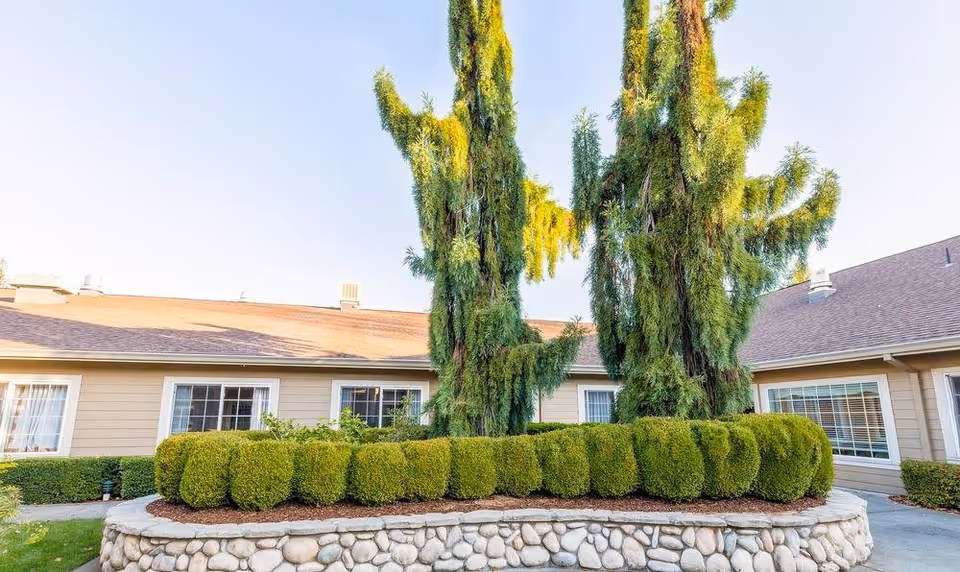 Outdoor view of a senior living facility courtyard with a stone planter containing neatly trimmed bushes and tall evergreen trees. The building surrounding the courtyard has beige siding and multiple windows with white frames.