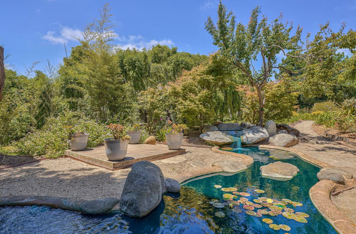 A serene outdoor garden area featuring a small pond with lily pads and a gentle waterfall flowing over rocks. Surrounding the pond are various trees, shrubs, and potted plants on a wooden platform, with a gravel pathway winding through the greenery under a clear blue sky.