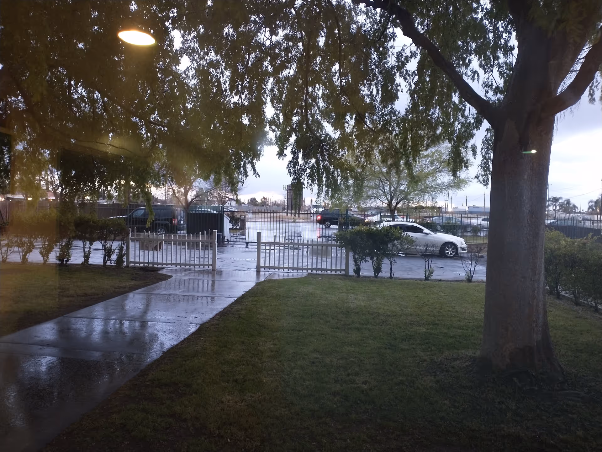 View through a window showing a wet sidewalk and grassy area with a large tree on the right. Beyond a white picket fence, there is a parking lot with several cars and some trees in the background under a cloudy sky.