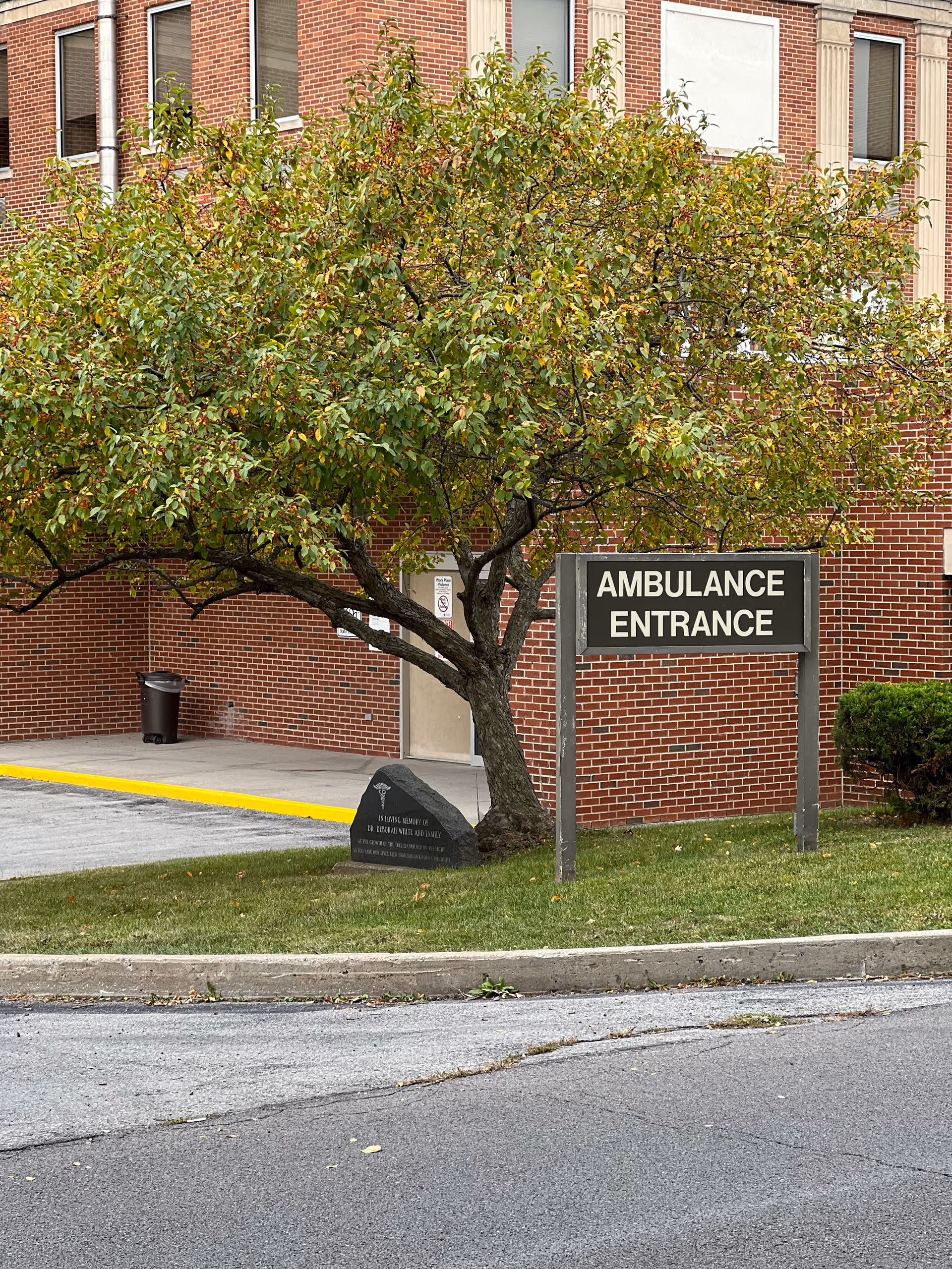 A brick building with a tree in front and a sign that reads 'AMBULANCE ENTRANCE'. There is a small memorial stone near the base of the tree and a sidewalk leading to a door in the building.