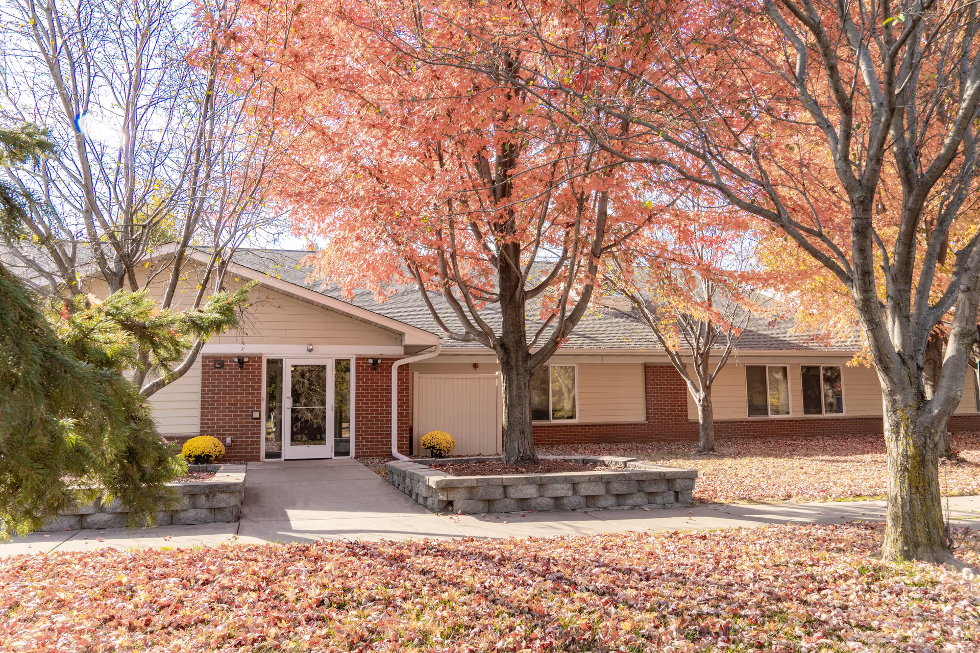 Exterior view of a single-story brick and siding building with a glass door entrance, surrounded by trees with orange and red autumn leaves and fallen leaves covering the ground.