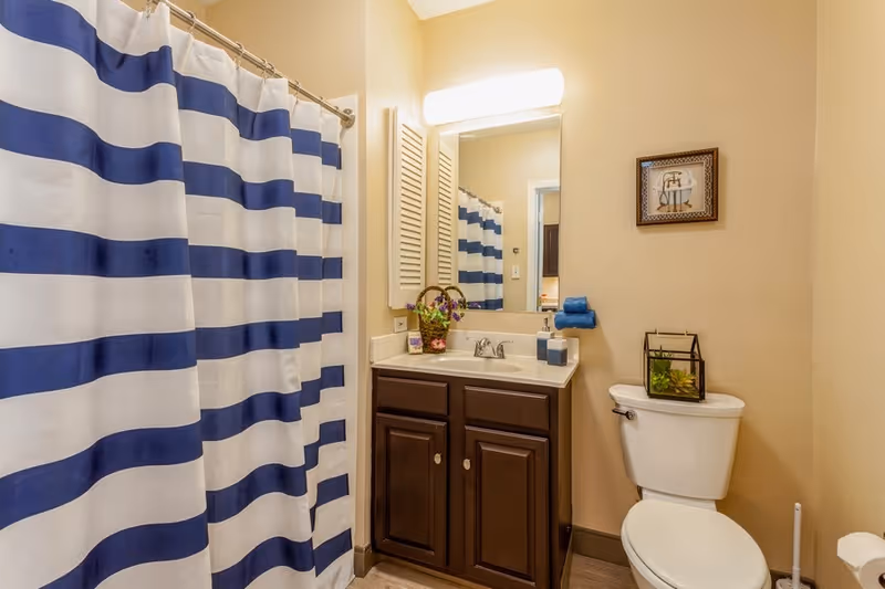 Bathroom with a blue-and-white striped shower curtain, dark wood vanity and sink beneath a lit mirror, and a toilet with decorative accents.