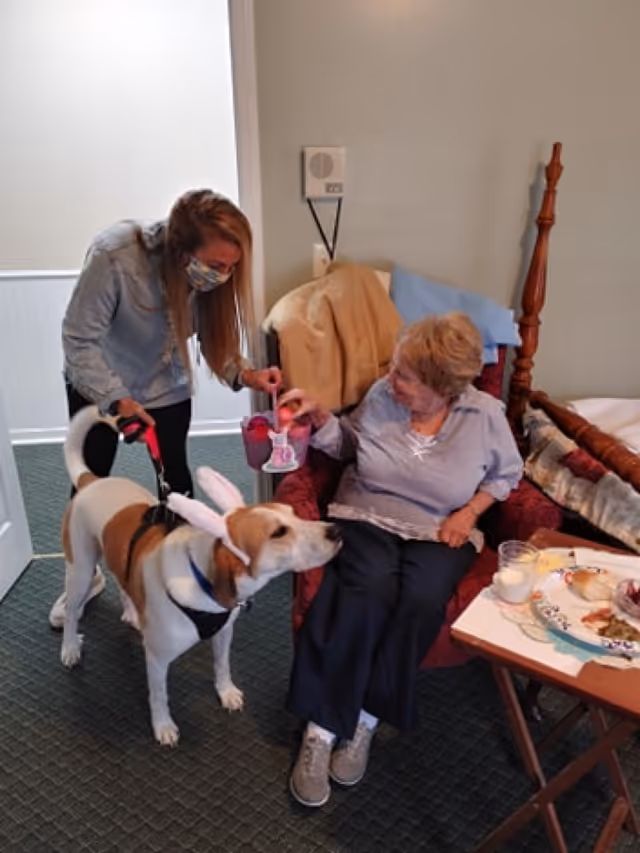 An elderly woman sitting in a red armchair inside a room, reaching out to a dog wearing bunny ears. A woman wearing a face mask and denim jacket is holding the dog's leash and interacting with the elderly woman. There is a small table nearby with a plate of food and a glass of milk.
