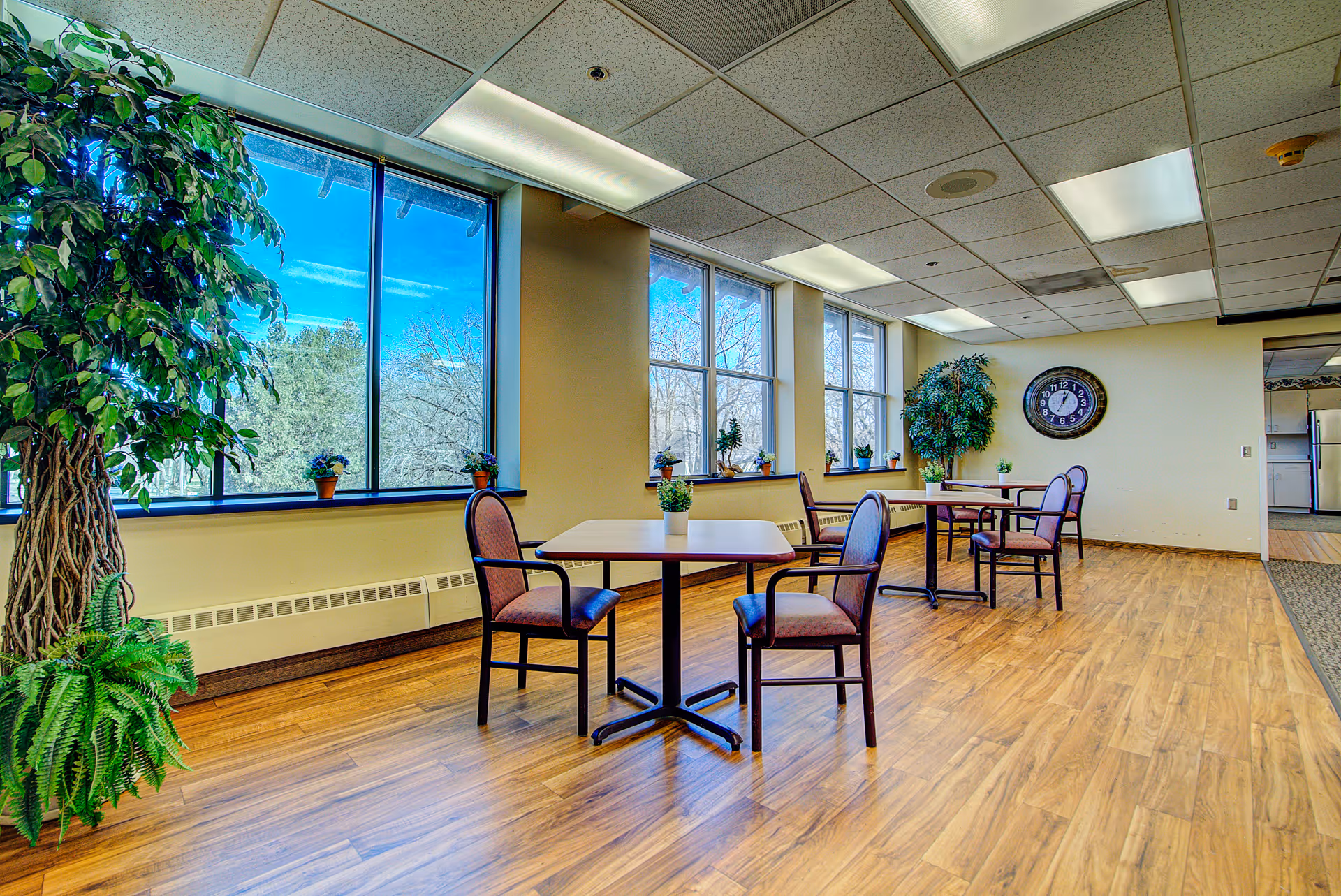 Bright common dining area with tables and chairs, large windows, and potted plants.