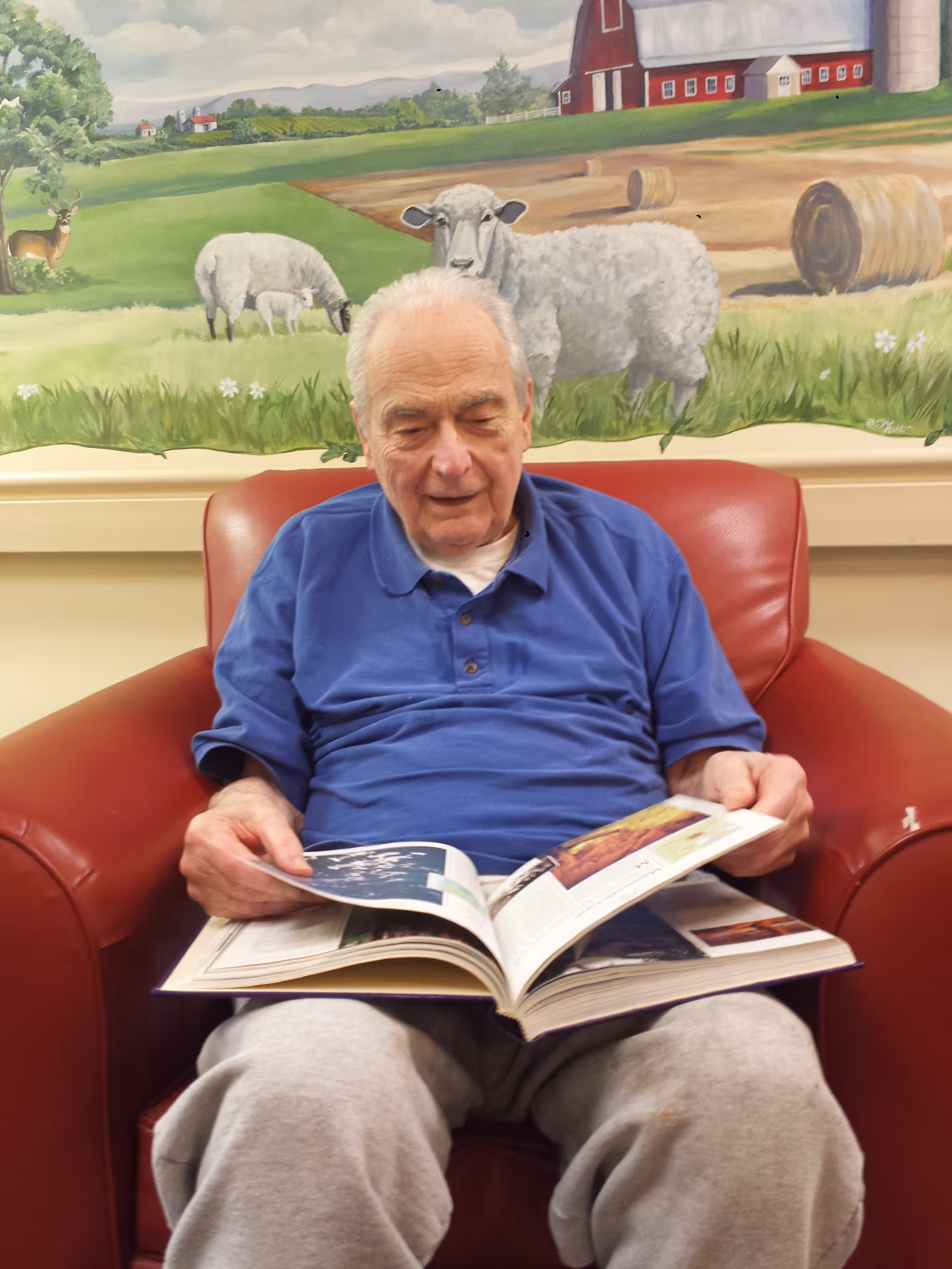 An elderly man wearing a blue polo shirt and light gray pants is sitting in a red armchair, reading a large book. Behind him is a mural depicting a pastoral farm scene with sheep, a deer, hay bales, a red barn, and green fields.