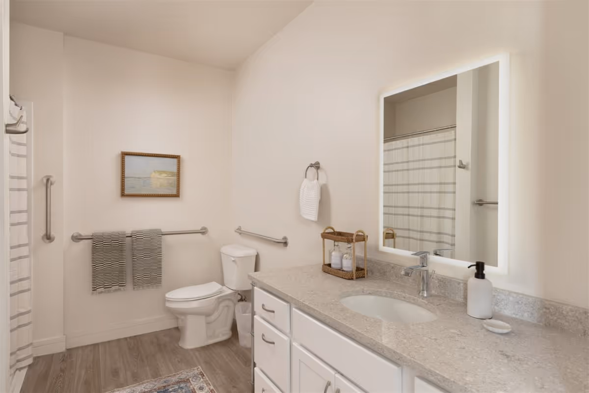 A clean and modern bathroom with a toilet, a vanity with a sink, a large illuminated mirror, and a shower with a striped curtain. The bathroom has light-colored walls, wood-style flooring, and safety grab bars near the toilet and shower. Two striped towels hang on a grab bar, and a small framed picture is on the wall above the toilet.
