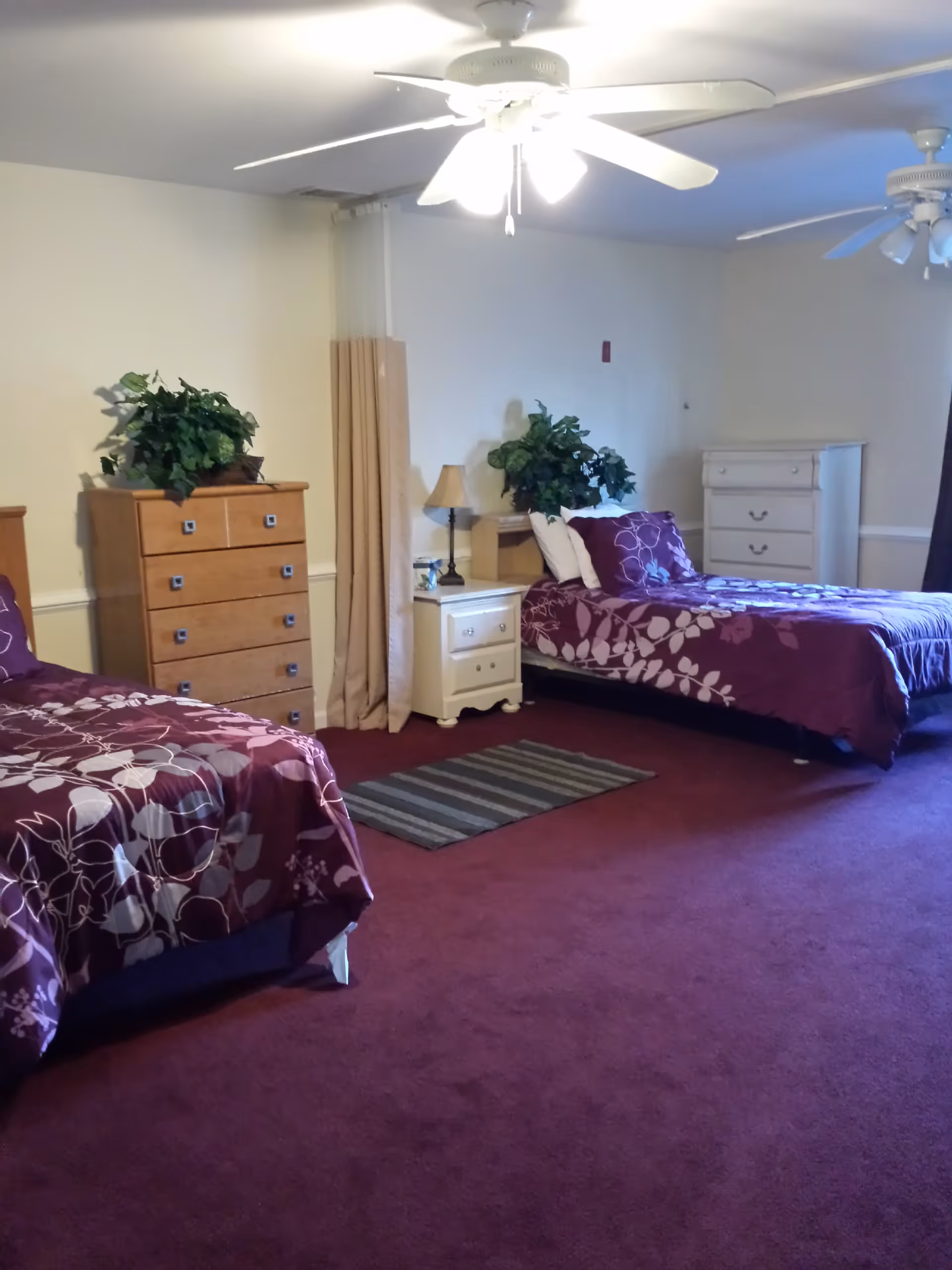 A bedroom with two twin beds covered in purple floral bedspreads. Between the beds is a white nightstand with a lamp and a plant. There are two dressers, one wooden and one white, each with a plant on top. The room has a maroon carpet, beige walls, and two ceiling fans with lights.