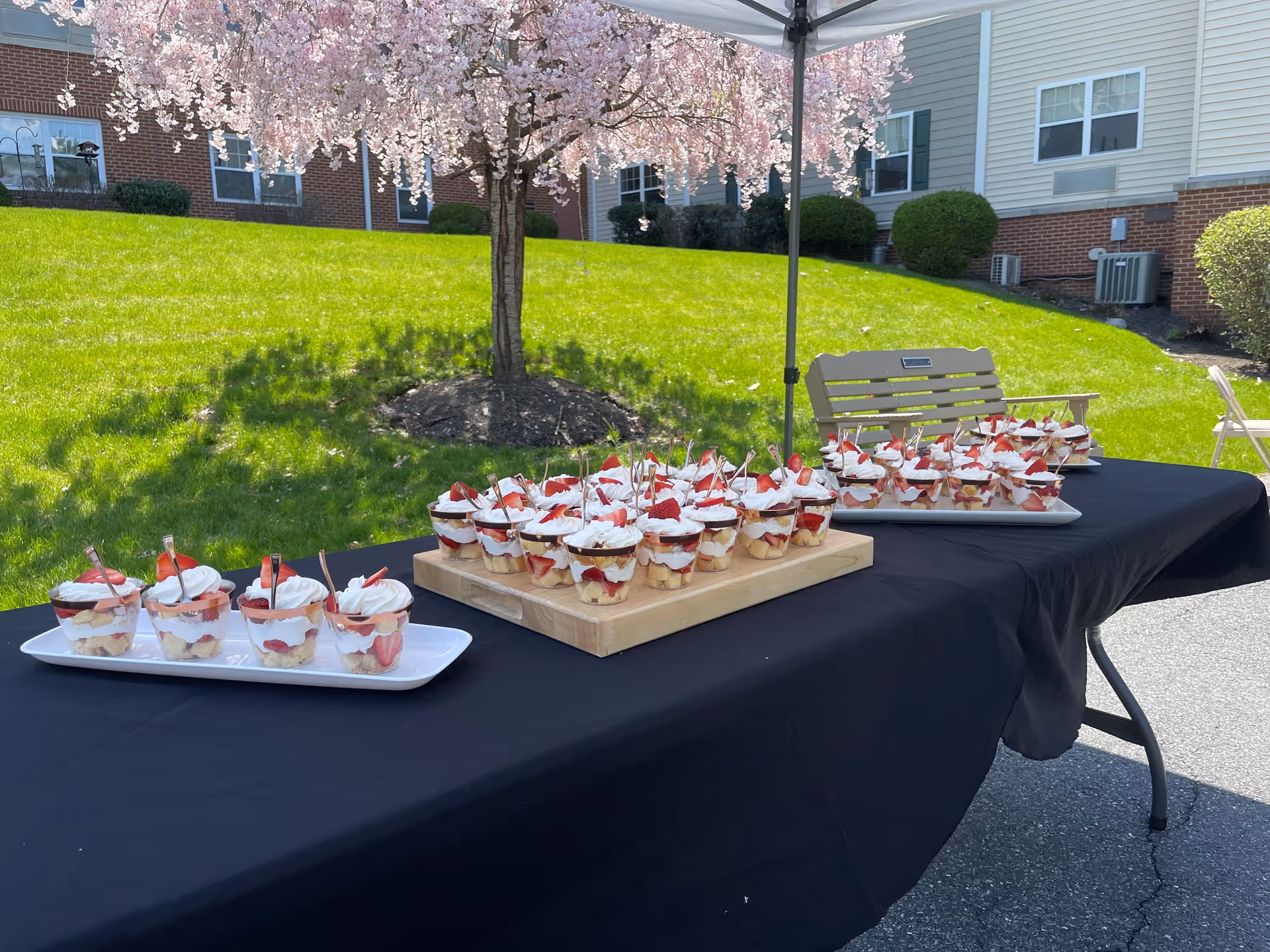 Outdoor table covered with a black tablecloth displaying multiple cups of layered dessert with strawberries and whipped cream, set under a canopy. In the background, there is a blooming tree with pink flowers, green grass, and a building with windows and bushes.