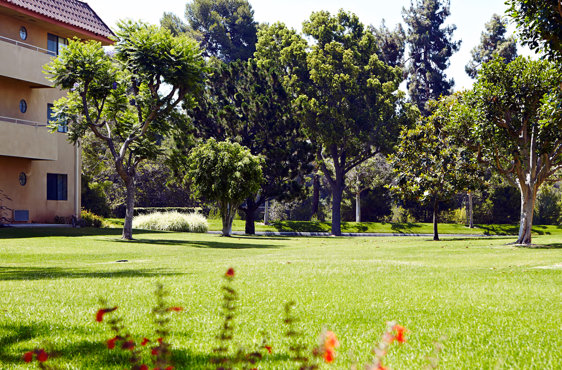 A well-maintained green lawn with various trees and shrubs, adjacent to a beige multi-story building with a tiled roof, under a clear sky.