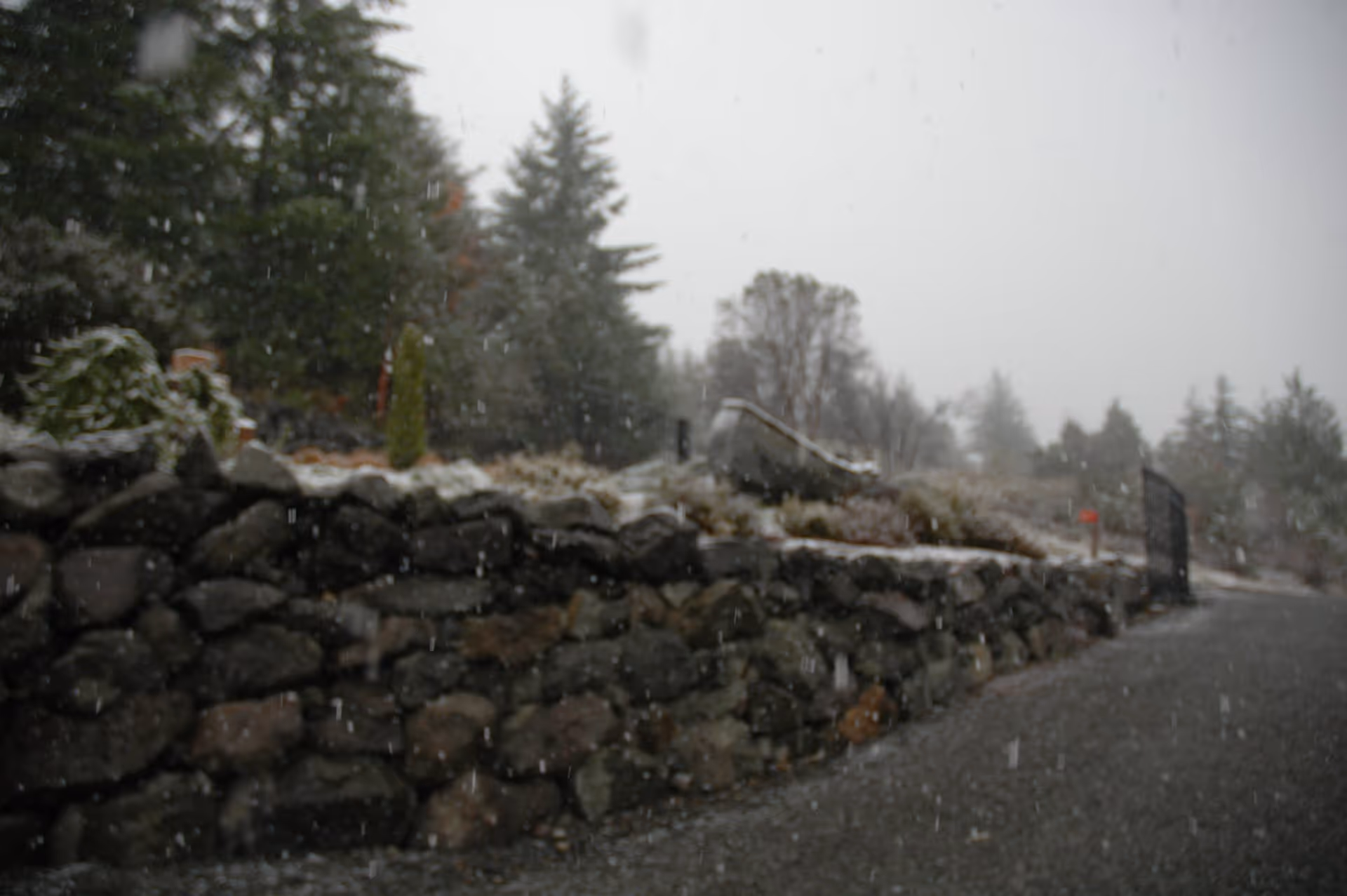Outdoor scene showing a stone retaining wall along a paved pathway with snow falling. Evergreen trees and other vegetation are visible in the background under an overcast sky.