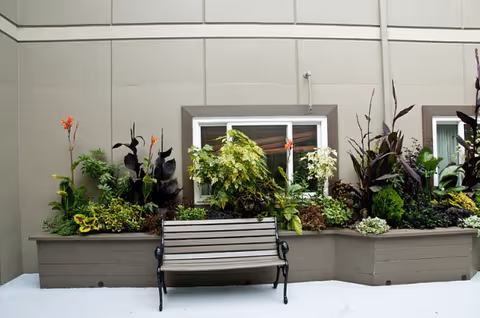 A metal bench sits before a raised planter filled with varied greenery against a building exterior.