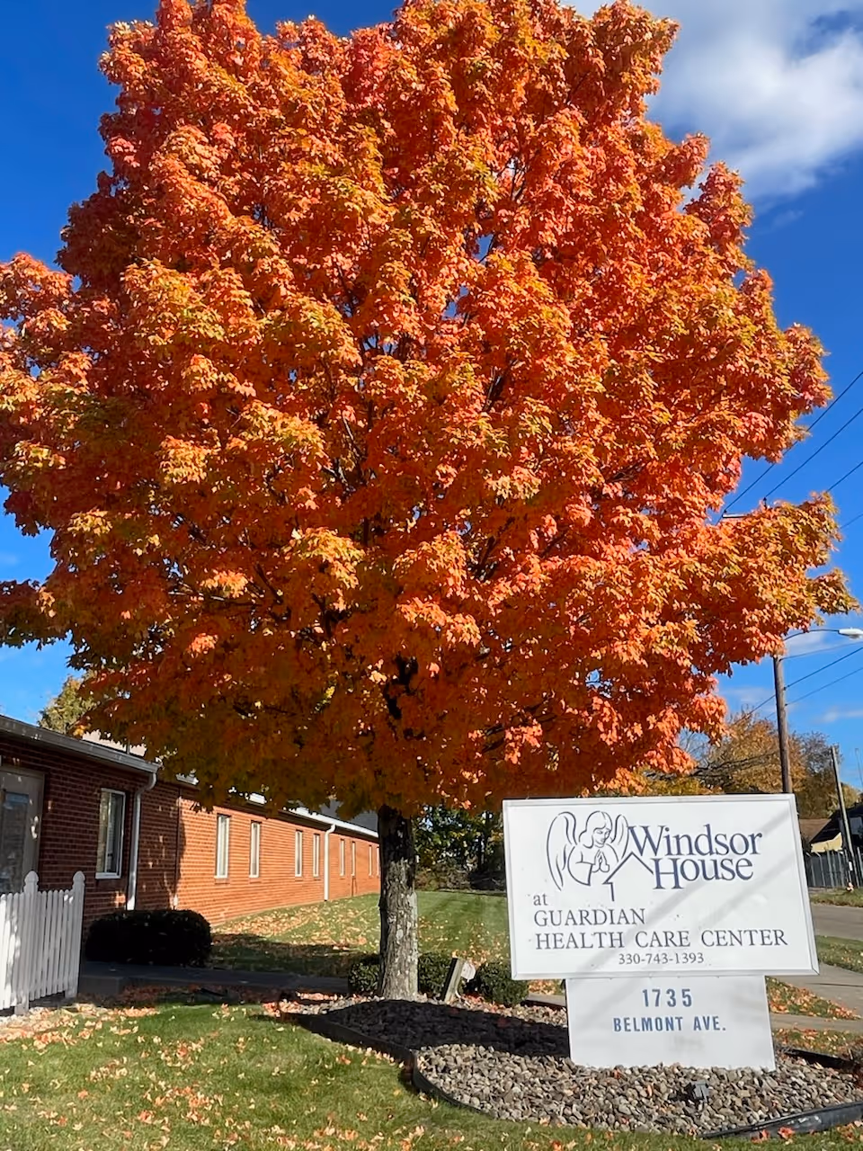 A large tree with vibrant orange and red autumn leaves stands next to a white sign for Windsor House at Guardian Health Care Center, located at 1735 Belmont Ave. A brick building and a white picket fence are visible in the background under a blue sky with some clouds.