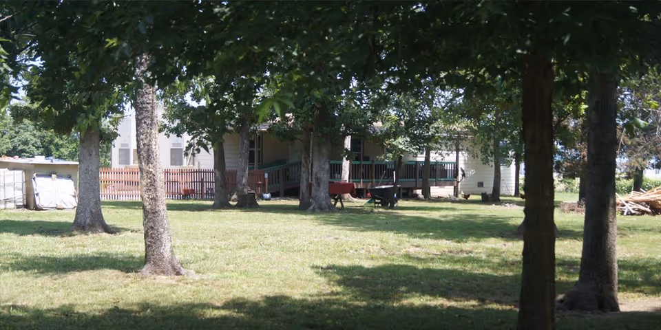 A grassy outdoor area with several large trees providing shade. In the background, there is a building with a porch and a wooden fence. Various items such as wheelbarrows and a table are visible near the building.