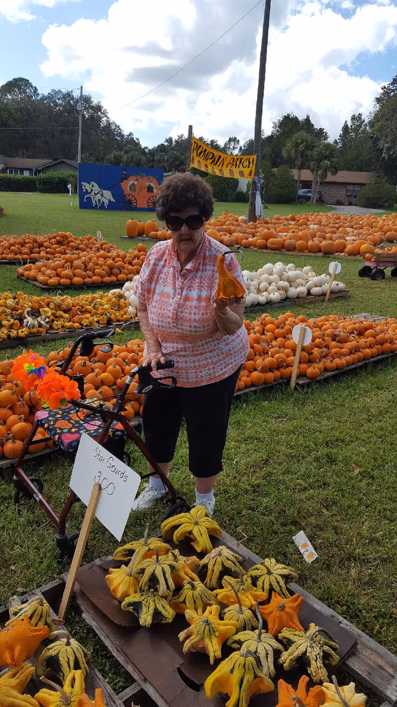 An elderly woman wearing sunglasses and a pink patterned shirt stands outdoors at a pumpkin patch holding a small orange gourd. She is using a walker decorated with orange flowers. Around her are various types of pumpkins and gourds arranged on the grass with signs indicating prices. A yellow sign in the background reads 'Pumpkin Patch'.