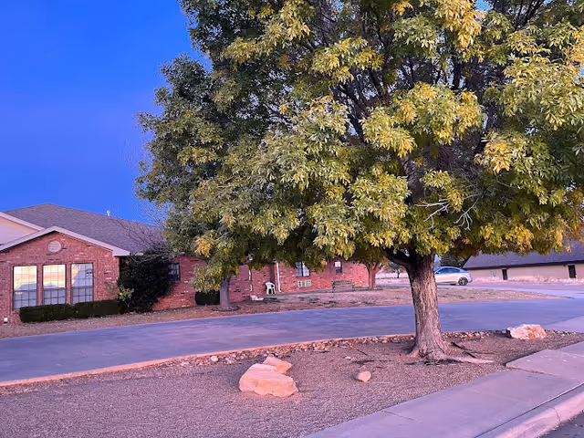 A large tree with green and yellow leaves stands in a landscaped area with rocks and mulch near a paved driveway. In the background, there is a single-story brick building with windows and a parked car visible on the right side.