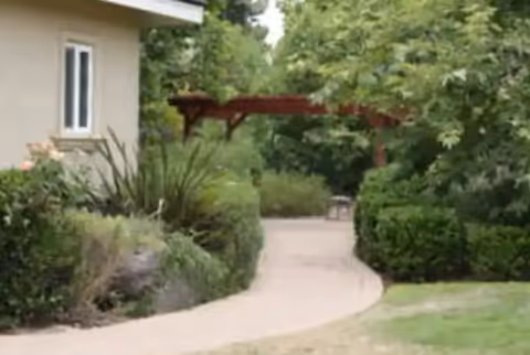 Curved concrete walkway beside a beige building, with shrubs and a wooden pergola overhead.