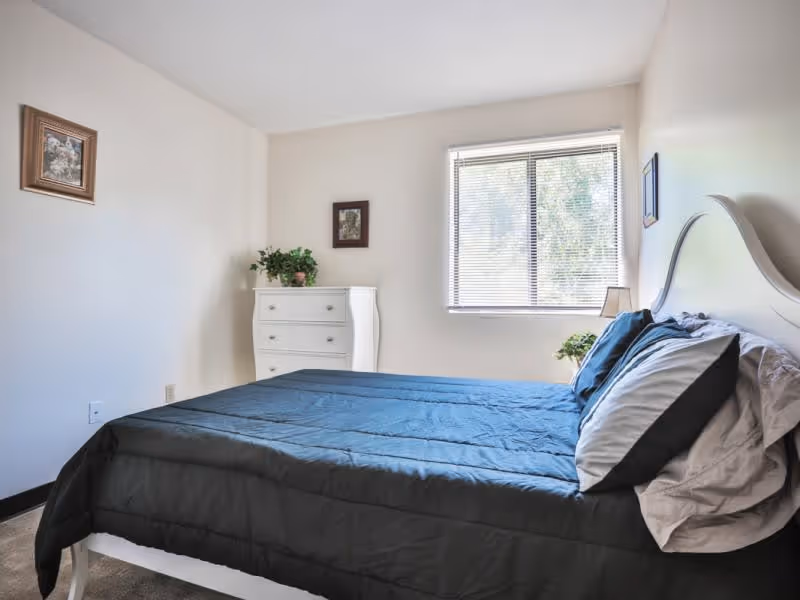 A simple bedroom with a bed dressed in dark bedding, a white dresser, framed wall art, and a window with blinds.