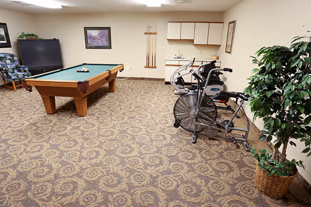 Carpeted recreation room with a pool table, exercise bikes, TV, seating, and a potted plant.